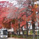 진해여자중학교 이미지