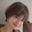 카스텔 헤어