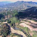 유기 태양광발전소 이미지