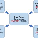 유대인의 자녀교육법 하브루타실천코칭 2급 자격과정 | [성경 하브루타 두뇌 역량 강화 프로그램] 15. 디모데전서