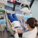 다니치과의원 네이버블로그