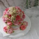 롤리 앤 폴리 이미지