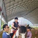 충북 충주성남초 충북뉴스