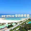 세나헤어타운 | [일본여행·오키나와] 북부 숙소 추천 호텔 오리온 모토부 리조트 오션뷰-츄라우미 근처 숙박