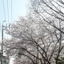 미래여성인력사무소 이미지
