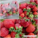 민경농장 이미지