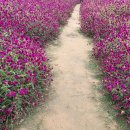 홍은농장 이미지