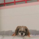 카페멍스 이미지