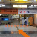 양재차앤박피부과의원 이미지