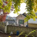 조치원어린이도서관 이미지