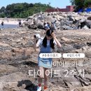 다이어트댄스(4월) | 다이어트 2주차 기록 | 64kg시작, 일주일간 허벅지 -2cm