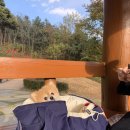 호두데이 이미지