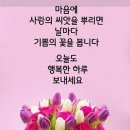 사랑의 씨앗 이미지