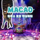 하우스오브엘리 | 마카오 여행 추천 코스 하우스 오브 댄싱 워터 할인 예약 꿀팁까지