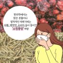 송한의원 이미지