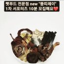 뚱띠레이 네이버블로그