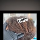 마인드미헤어