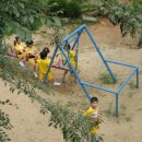 신나는 과학(B) 이미지