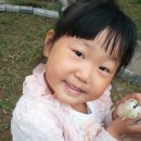 꼬마꼬꼬 이미지