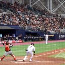 동아 행정대서 이미지