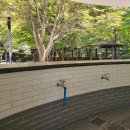 다리안 황토길 이미지