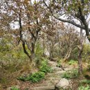 옥룡면 동곡산장옆주차장 | 24.10.20 전남 광양 백운산 상봉 진틀마을 등산코스