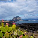 제주 서귀포 산방산 이미지