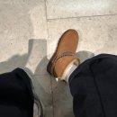 크레센트 - 경산시 경청로230길 19 | UGG 미국어그 클래식 미니 크레센트 불량 반품 후기 (체스트넛 36사이즈, 내돈내산)