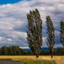 바람의말 이미지