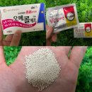 한솔약국 | 한솔신약 감바로 종합감기약 vs 대웅생명과학 오메콜에프 비교 후기