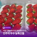 진주춘강약초