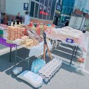 우리사우나헬스