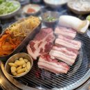 안동꿀?돼지 네이버블로그