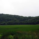 제주 물장오리오름 이미지