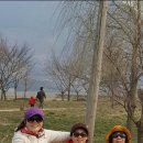 하동 섬진강변길 이미지