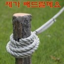이스타빌 이미지