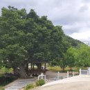 민주지산로 이미지
