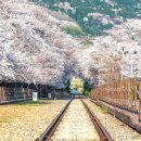 공영주차장 교통섬 이미지