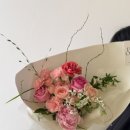 플레온느