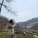 헨느33 이미지