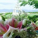 쁘띠방스 이미지