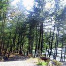 자연휴양림 관리사무소 이미지