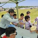 양양군 공항 축구장 네이버블로그