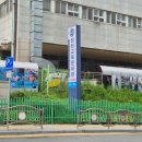 내창천 | [원정 수영 후기] 마포구 창천교육문화관 수영장 자유수영