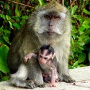 일본어생활회화 이미지