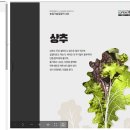 이삭이 | 똑똑하게 농사짓기 - 농촌진흥청 농사로 AI 챗봇 이삭이 후기