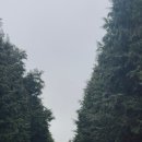 장은목장 네이버블로그