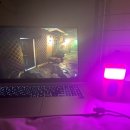 당신의안목 브리에 이미지