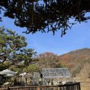 테라스의 아침 이미지