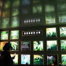 정선향토박물관 이미지